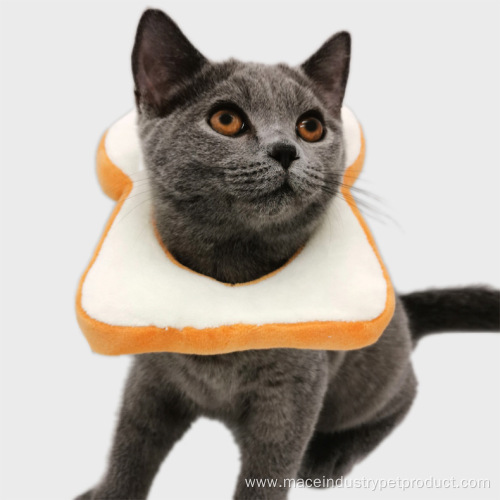 Toast bread hood kitten Elizabeth Collar